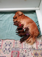 Mom & Babies